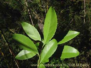 关于这个商品看更多资料和购买别的数量